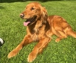 Small #8 Breeder Profile image