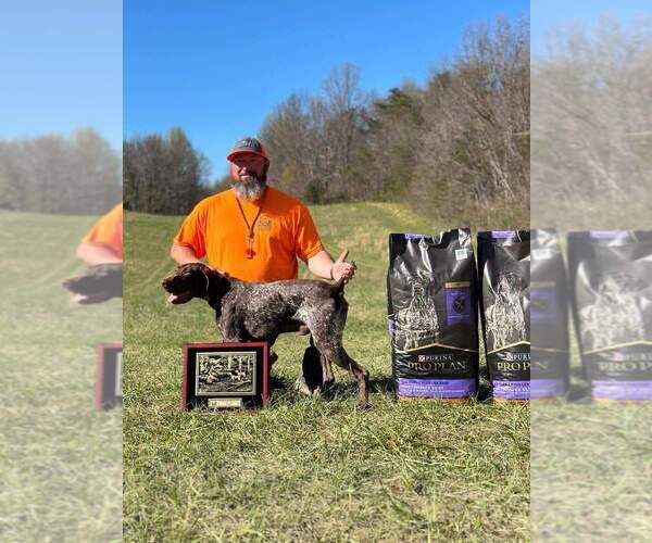Medium Photo #2  Breeder Profile in EDENTON, NC, USA