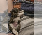 Small #1 Breeder Profile image
