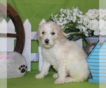 Small #68 Breeder Profile image