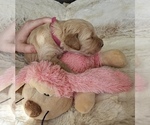 Small #10 Breeder Profile image