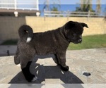 Small #3 Breeder Profile image