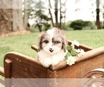 Small #21 Breeder Profile image