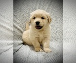 Small breeder photo