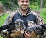 Small breeder photo