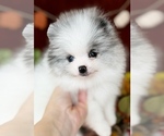Small #23 Breeder Profile image
