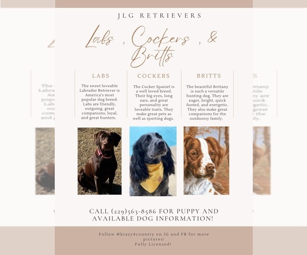 Medium Photo #1  Breeder Profile in MOULTRIE, GA, USA