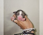 Small #27 Breeder Profile image