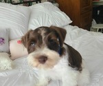 Small #3 Breeder Profile image