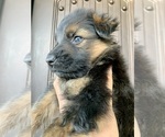 Small #198 Breeder Profile image