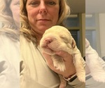 Small #4 Breeder Profile image