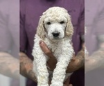 Small #5 Breeder Profile image