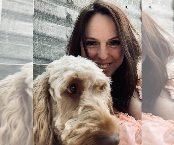 Medium Photo #1  Breeder Profile in CONCORD TWP, OH, USA