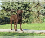 Small #9 Breeder Profile image