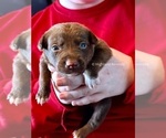 Small #18 Breeder Profile image
