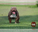 Small #10 Breeder Profile image