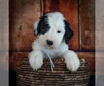 Small #3 Breeder Profile image