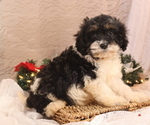 Small #14 Breeder Profile image