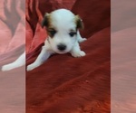 Small #111 Breeder Profile image