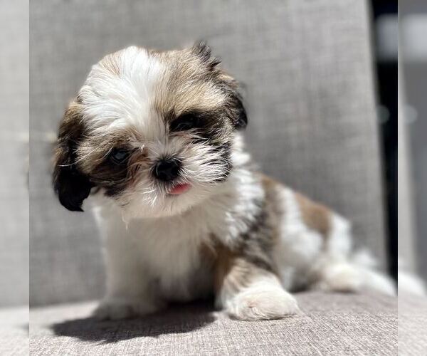 Medium Photo #1  Breeder Profile in REDLANDS, CA, USA