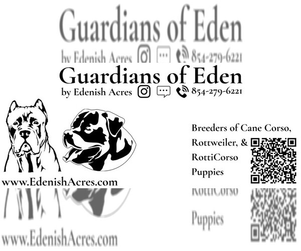 Medium Photo #2  Breeder Profile in REEVESVILLE, SC, USA