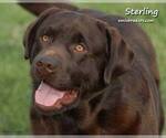 Small #11 Breeder Profile image