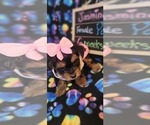 Small #218 Breeder Profile image