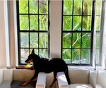 Small #15 Breeder Profile image