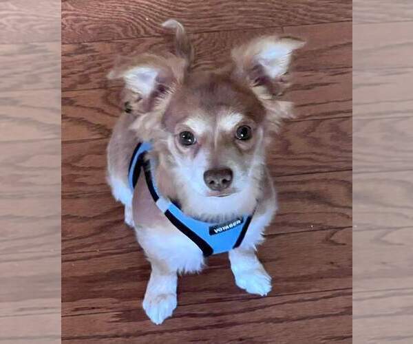 Medium Photo #68  Breeder Profile in HOMERVILLE, GA, USA