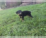 Small #1 Breeder Profile image