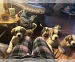 Small #6 Breeder Profile image