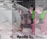 Small #27 Breeder Profile image