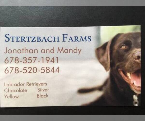 Medium Photo #1  Breeder Profile in BETWEEN, GA, USA