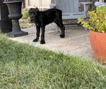 Small #6 Breeder Profile image