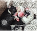 Small #33 Breeder Profile image