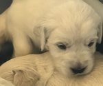 Small #8 Breeder Profile image