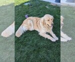 Small #22 Breeder Profile image