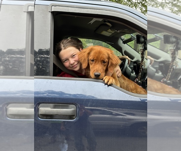 Medium Photo #2  Breeder Profile in EXETER, RI, USA