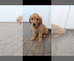 Small #4 Breeder Profile image