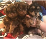 Small #10 Breeder Profile image
