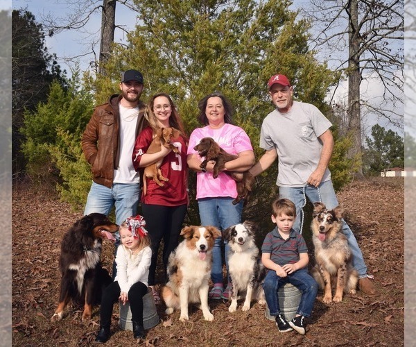 Medium Photo #1  Breeder Profile in BUHL, AL, USA