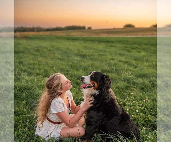 Medium Photo #1  Breeder Profile in CUBA CITY, WI, USA