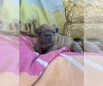 Small #22 Breeder Profile image