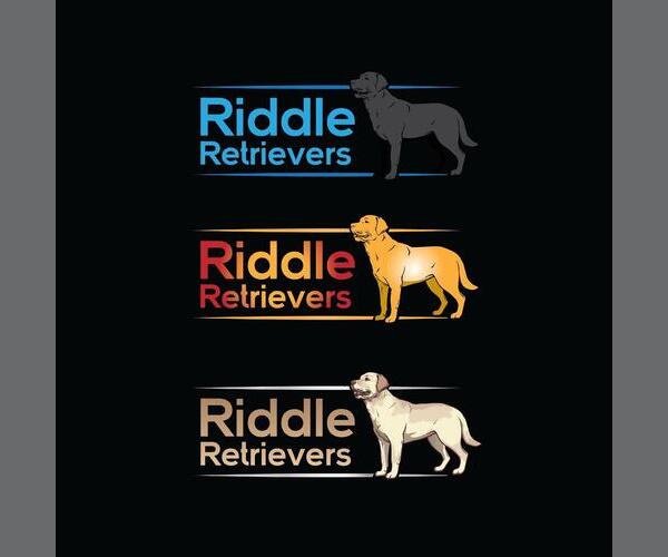 Medium Photo #1  Breeder Profile in THOMASVILLE, NC, USA