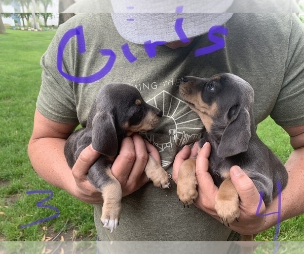 Medium Photo #1  Breeder Profile in ROCK VALLEY, IA, USA