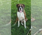 Small #2 Breeder Profile image