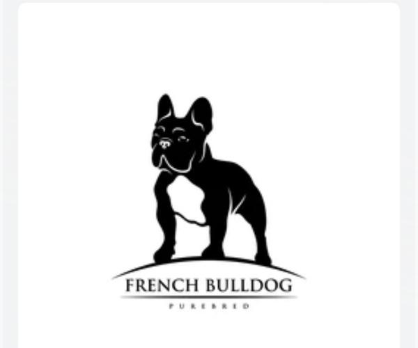 Medium Photo #1  Breeder Profile in HOLLISTER, CA, USA