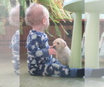 Small #2 Breeder Profile image