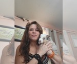Small breeder photo