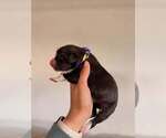 Small #10 Breeder Profile image